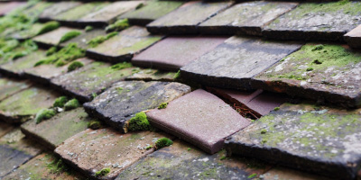 Staverton roof repair costs